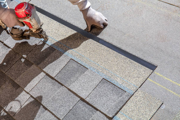 Best Storm Damage Roof Repair  in Zellwood, FL